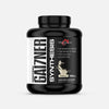 Protein GAI7NER Synthesis™ By Vitasport® Vanilla Flavor Bottle Image